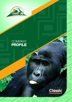 Classic Profile New.pdf